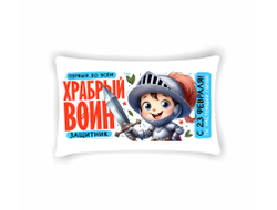 Подушка горизонтальная #15 на 23 февраля