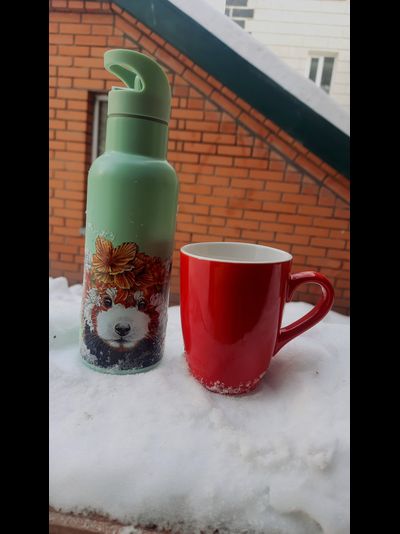 Термос Львенок, 500 мл