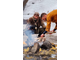 Праздник весеннего равноденствия (копия)