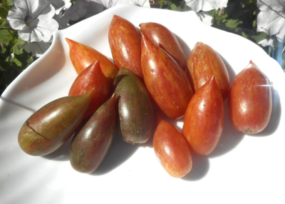 Томат Конфета сладкая сосулька (Candy Sweet Icicle)