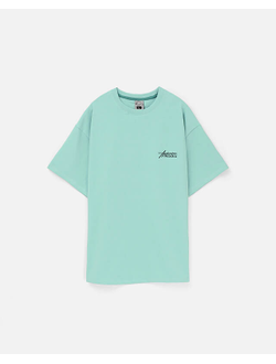 Футболка Anteater Phat Tee 499 Ментоловая