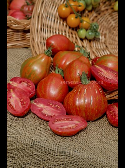 Томат Огненный шар (Palla di fuoco), 10 шт