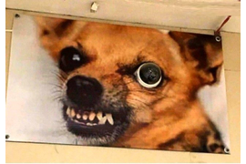 Wi-Fi видеонаблюдение по всему миру с сервисом P2P