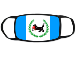 Маска защитная тканевая для лица Иркутская Область