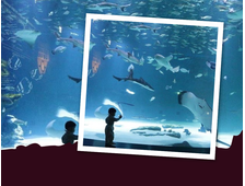 HURGHADA GRAND AQUARIUM