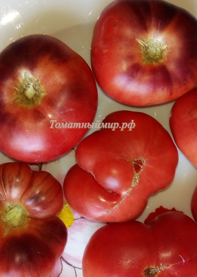 Томат Дорога Скотдейл  (Scotsdale Road)