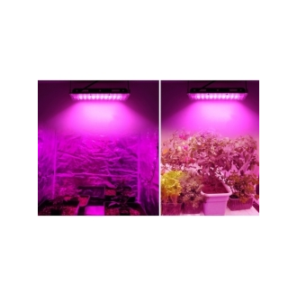 Ультрафиолетовая лампа для растений 100W оптом