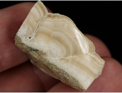 Арагонит, почковидные агрегаты, полировка, Россия, КЧР, Урупский район (30*18*16 мм, 11 г) №37734