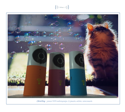 Видеоняня /WiFi видеокамера CleverDog Blue с DVR