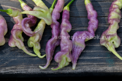 Перец острый Aji Confusion (Ахи Конфуз), 10 шт