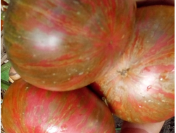 Томат Королева Миссисипи (Mississippi Queen)