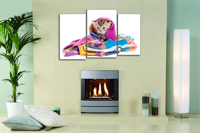 Модульная картина "Котенок в шали"