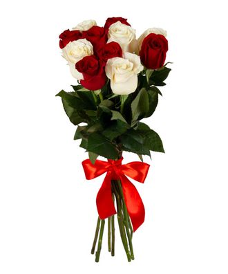 11 роз красных и белых (50 см.)