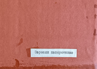 "Заросли папоротника" холст на картоне масло Климов 1991 год