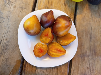 Томат Сладкая карамель Софии