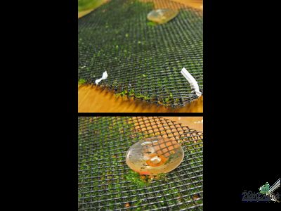 Сетка для мхов (пластик) 20см*10см