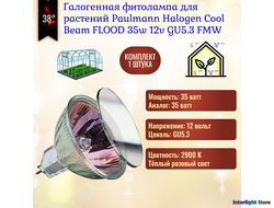 Paulmann Halogen Cool Beam FLOOD 50w 12v 38° GU5.3