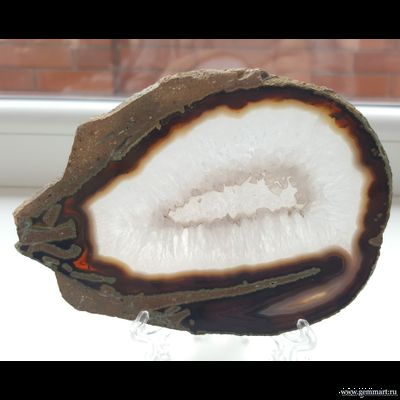 Агат — полированная пластина «Креветка» 136*96*5 мм