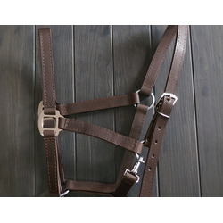 Недоуздок кожаный Т-коричневый с нерж. карабином, размеры от COB до  XFull