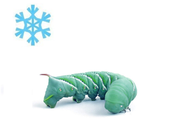 Табачный бражник замороженный