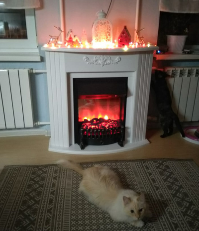 камин Лион WT Fobos