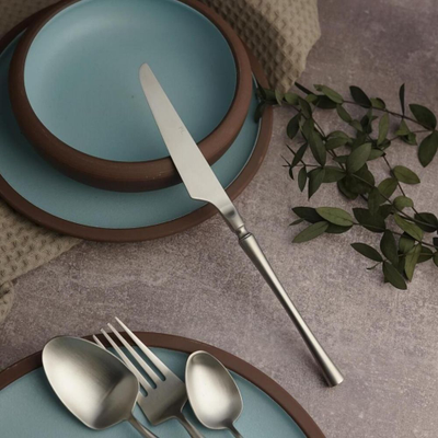 Ложка столовая 19,5 см матовое серебро