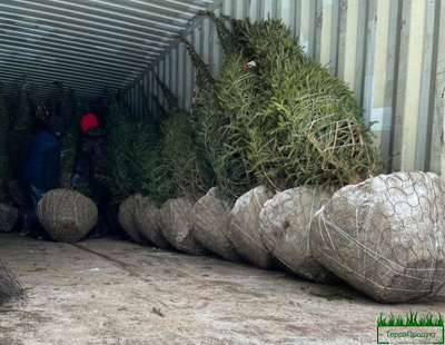 сетка для комов ромашка,сетка для упаковки комов setka-dlya-komov-romashka-d1200kh1-6mm