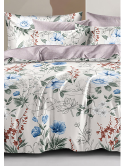 Постельное белье Cleo семейное сатин 145х215х2 220х240х1 50х70х2 70х70х2 41/738-SL