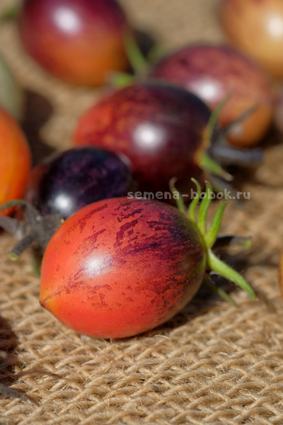 Томат Любушка, 10 шт