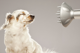 Курс обучения Грумингу c нуля