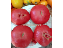 Томат Микадо розовый