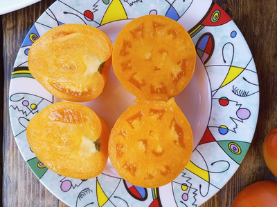 Томат Ранний оранжевый Розали (Rosalie’s early orange), США