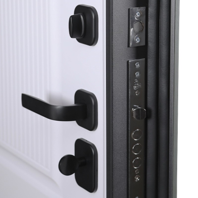 Стальная дверь   Scandi