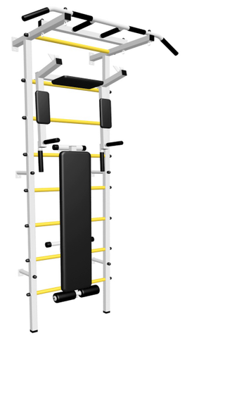 Шведская стенка  с турником, брусьями под штангу и скамья для пресса.