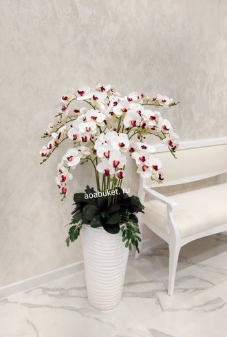 Композиция напольная орхидея белая с красным № ОР011