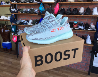 Кроссовки Adidas Yeezy Boost 350 V2 Frozen