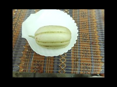 Дыня Мечта сибарита (Мечта лентяя)