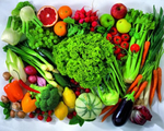 Программа «Вегетарианство как принцип питания» + БОНУС
