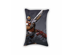 Подушки Borderlands, Бордерленд №43