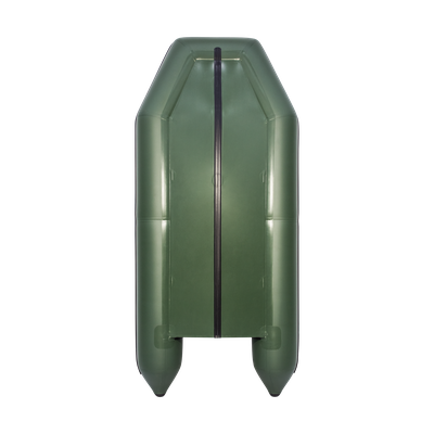 Моторная лодка Аква 3200 СК зеленый