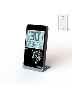 Электронный цифровой термометр с радиодатчиком RST 02251 (Q251)