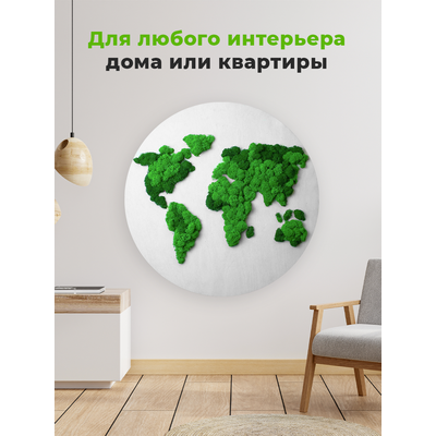 ЖИВАЯ ЭКО-КАРТИНА 1041