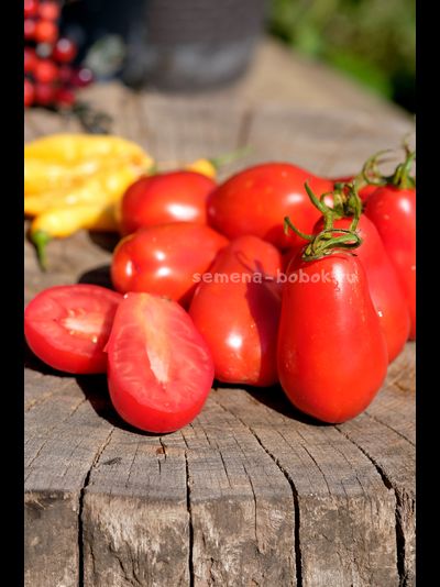 Томат Джуаджито (Guajito), 7 шт