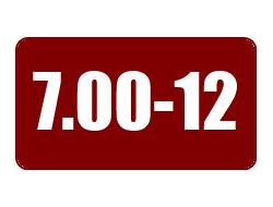 Шины 7.00-12