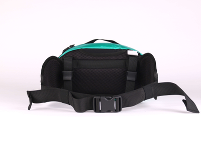 Сумка на пояс GO Grubo 201 X-Black Мятная