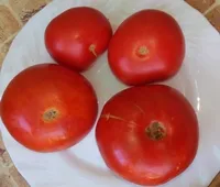 Гном Свит скарлетт