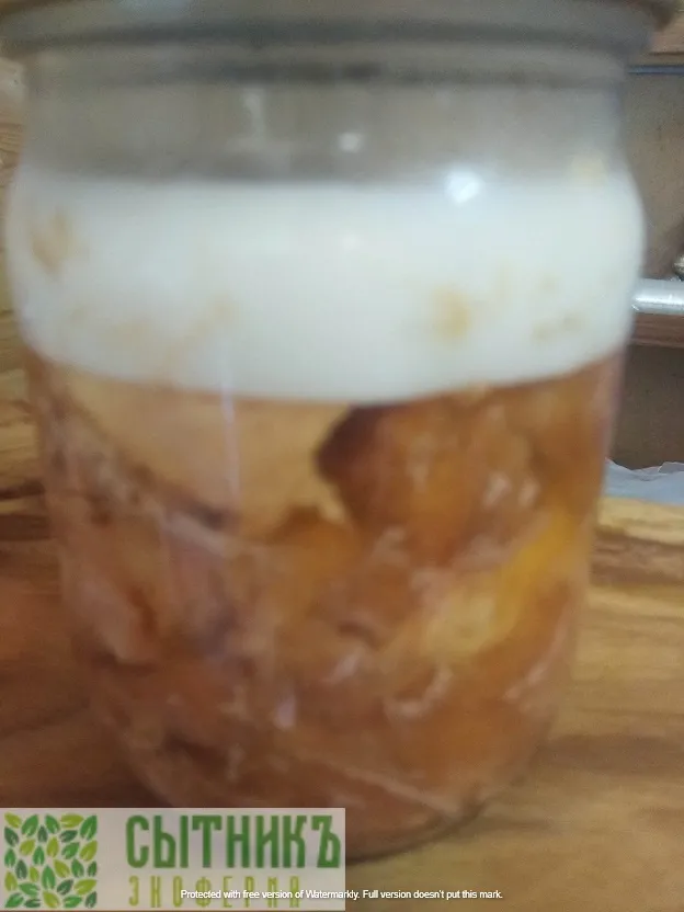 Тушенка домашняя из свинины натуральная