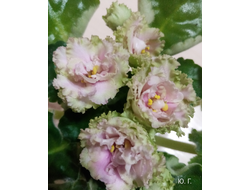 27) ЕК-Беренгеево Царство