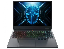 Thunderobot R16 16" 2.5K IPS 240Hz 16 ГБ, (SSD)512 ГБ Win 11 Серый
