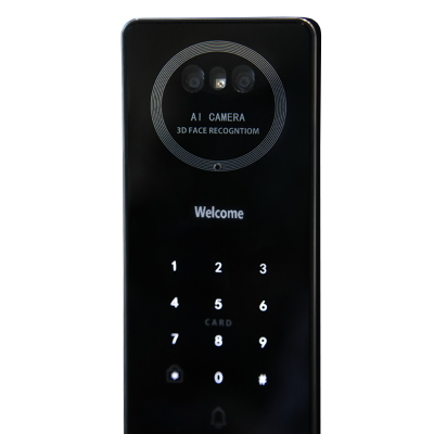 Биометрический врезной дверной замок Smart lock Y 12